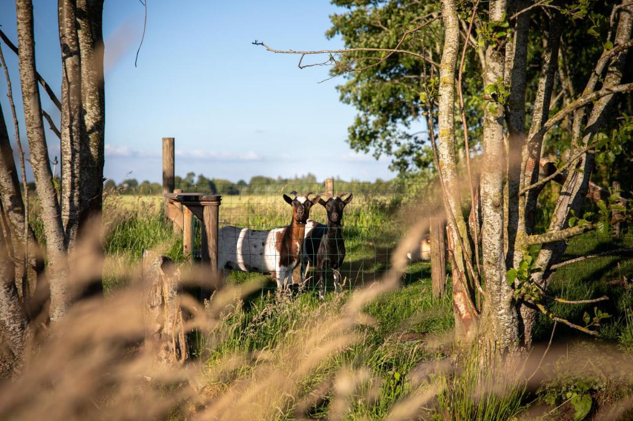 Villa Ruyge Weyde Logies - The Farmers Daughter Oudewater Exterior foto